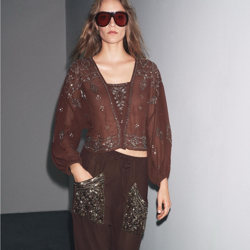 Zara Brown Sheer Embellished Blouse
GEORGETTE BEADED EMBROIDERED BLOUSE